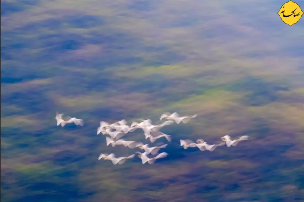 جایگاه انسان در هستی