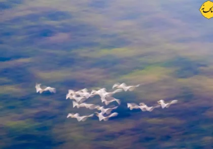 جایگاه انسان در هستی